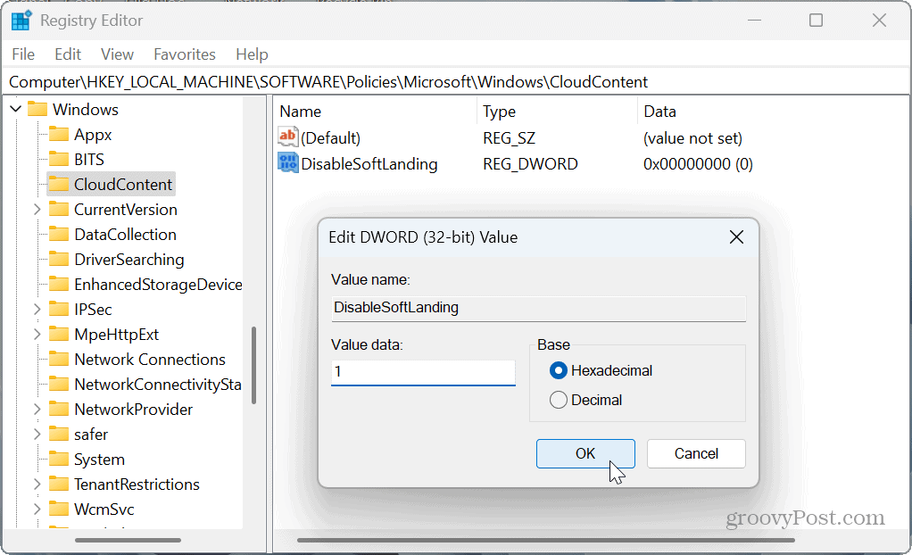 DisableSoftLanding value 1