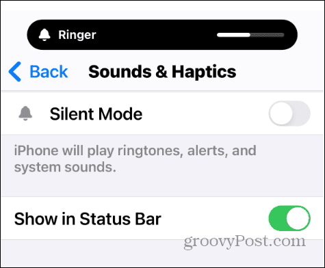 Change the Alarm Volume on iPhone