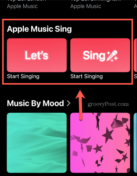 apple music sing section