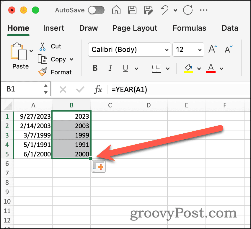 Autofill Handle in Excel