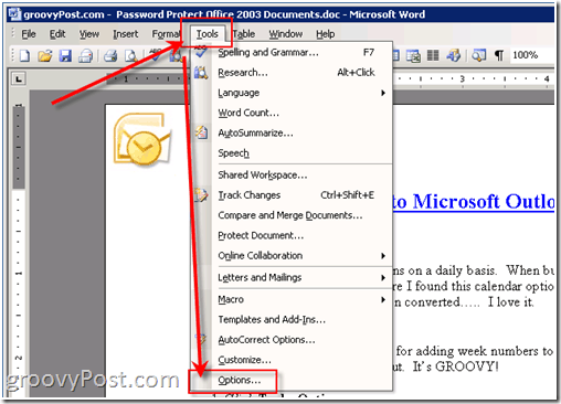 Password protect excel 2003