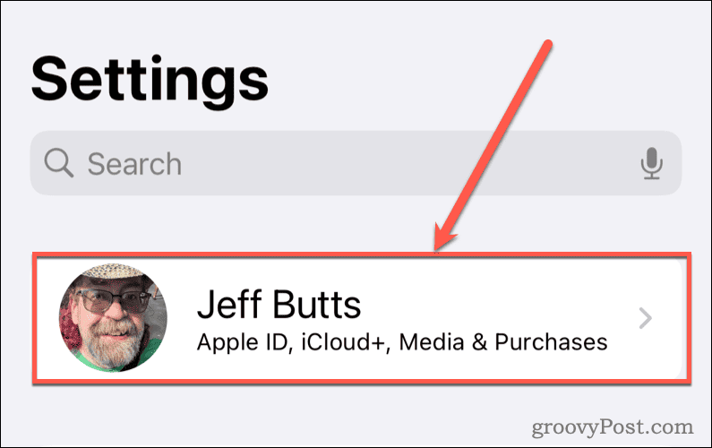 iOS Settings - iCloud ID