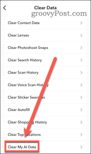 Snapchat Clear Data Menu