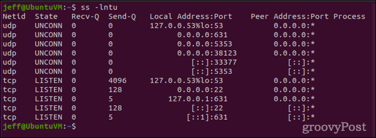 ss -lntu output